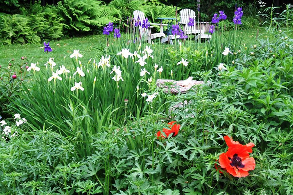 B&B Hillhouse Lac-Brome Exterior foto